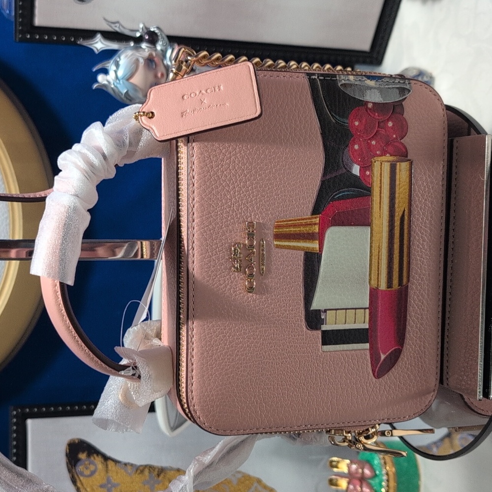 Coach X Tom Wesselman Box Lipstick Purse Light Pink Leather Crossbody
